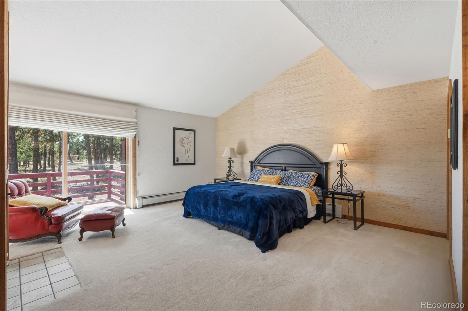 MLS Image #19 for 107  ox yoke lane,bailey, Colorado
