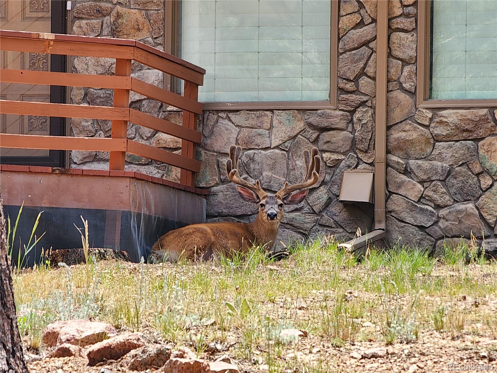 MLS Image #47 for 107  ox yoke lane,bailey, Colorado