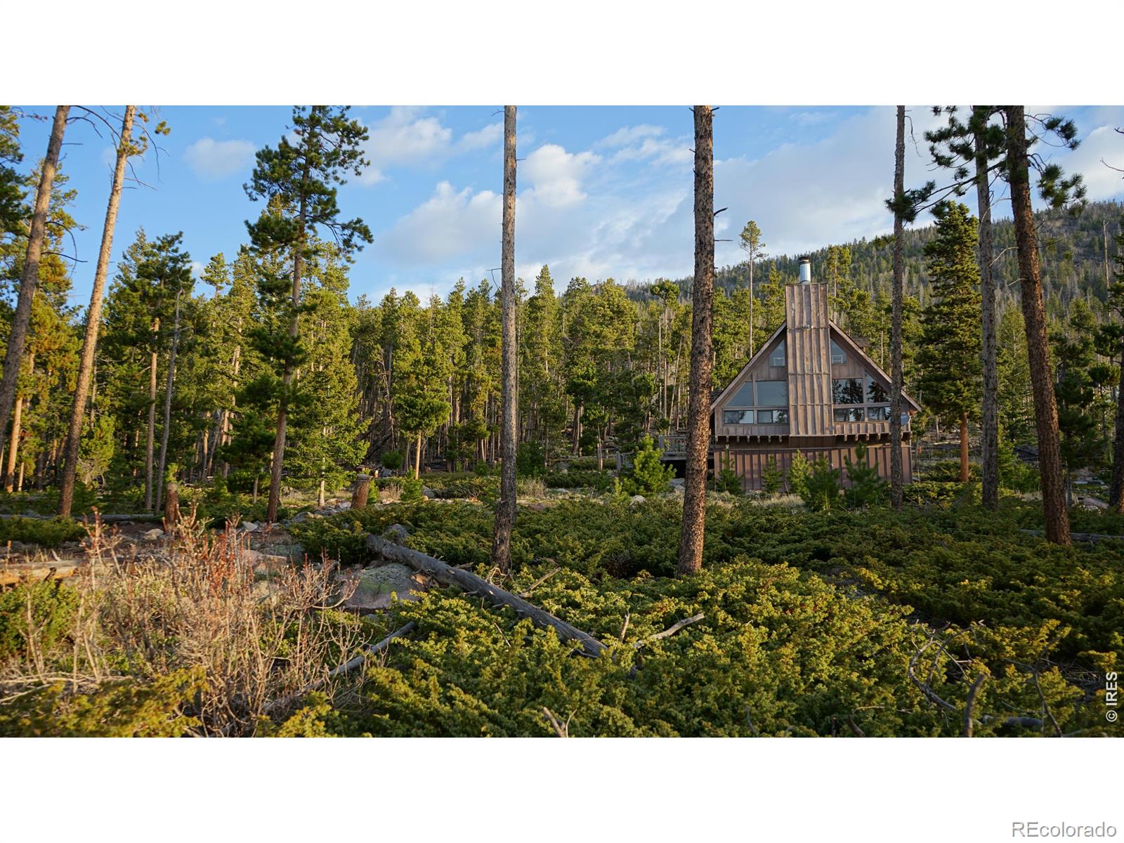 MLS Image #19 for 321  tonkawa drive,red feather lakes, Colorado