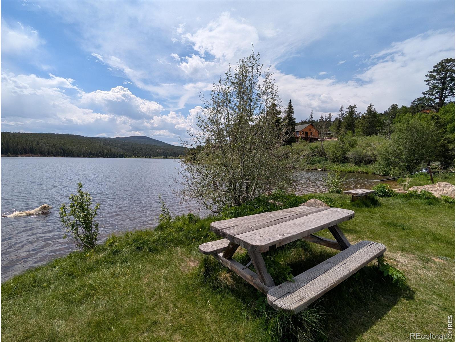 MLS Image #33 for 321  tonkawa drive,red feather lakes, Colorado