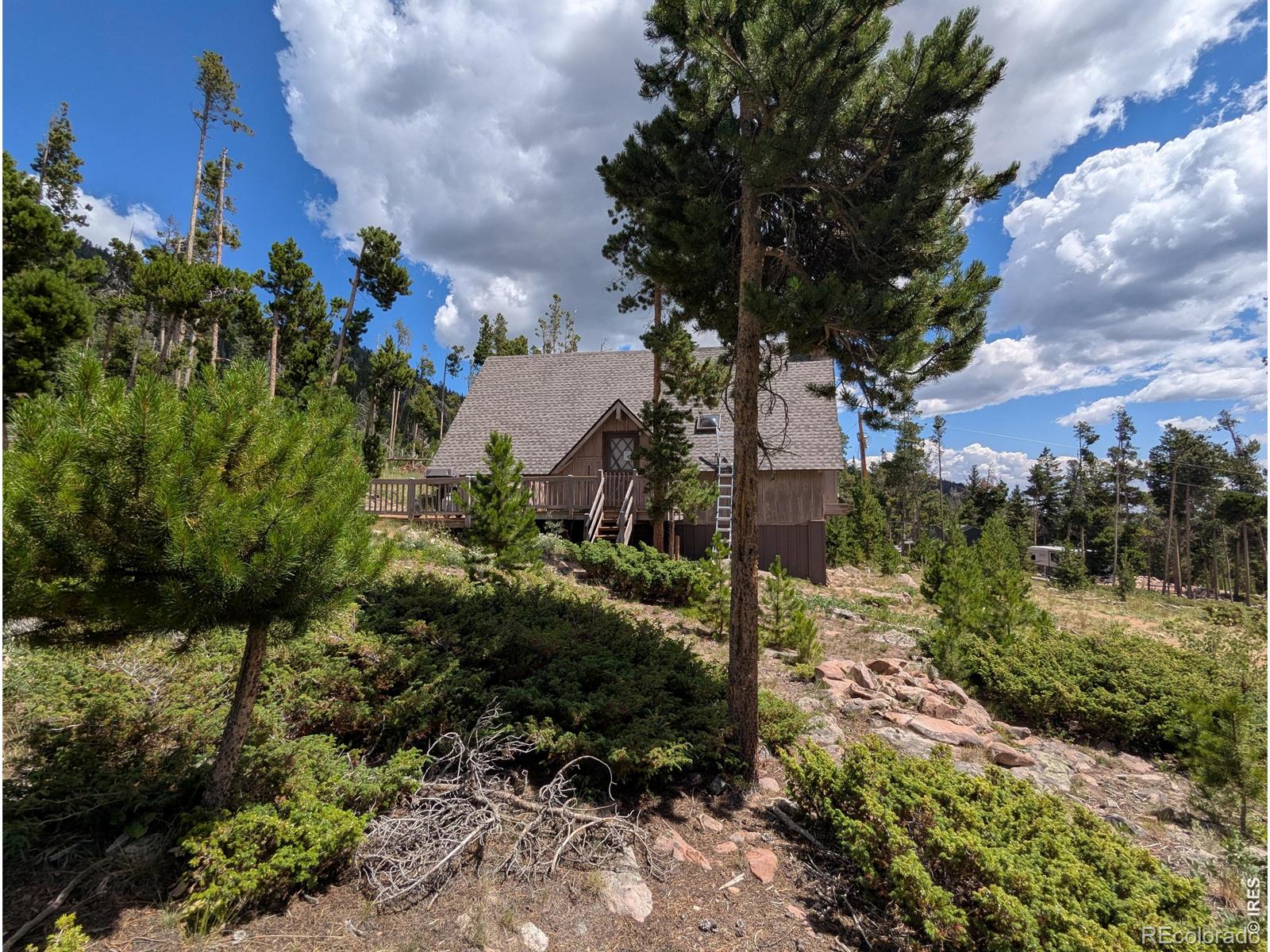 MLS Image #4 for 321  tonkawa drive,red feather lakes, Colorado