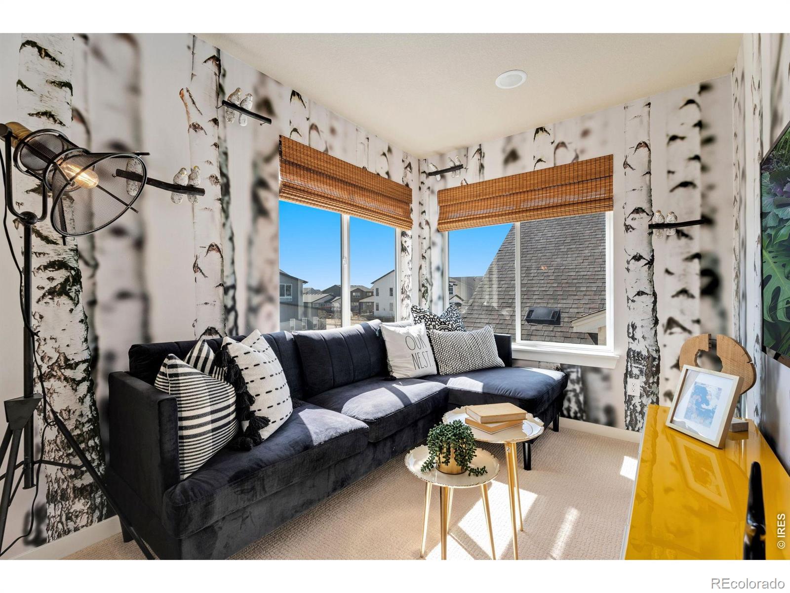 MLS Image #17 for 5724  jedidiah drive,timnath, Colorado