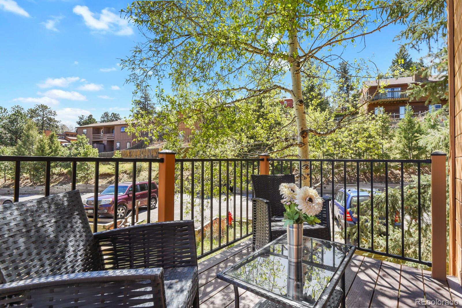 MLS Image #17 for 30671  sun creek drive,evergreen, Colorado