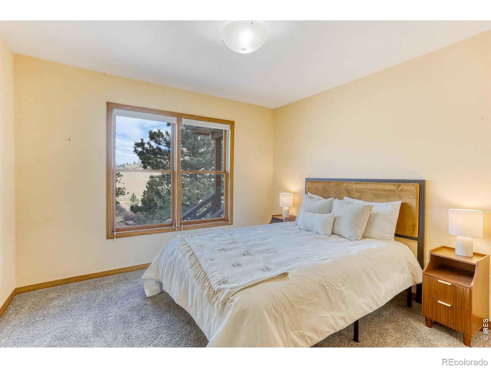 MLS Image #16 for 2901  stone canyon road,lyons, Colorado