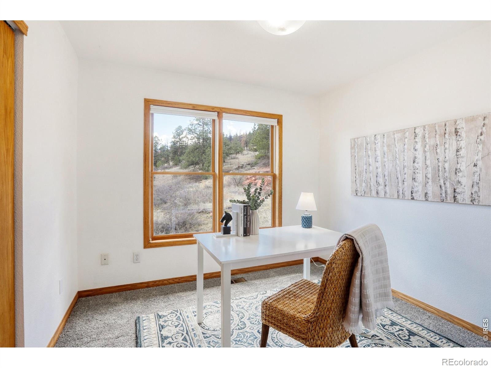 MLS Image #17 for 2901  stone canyon road,lyons, Colorado
