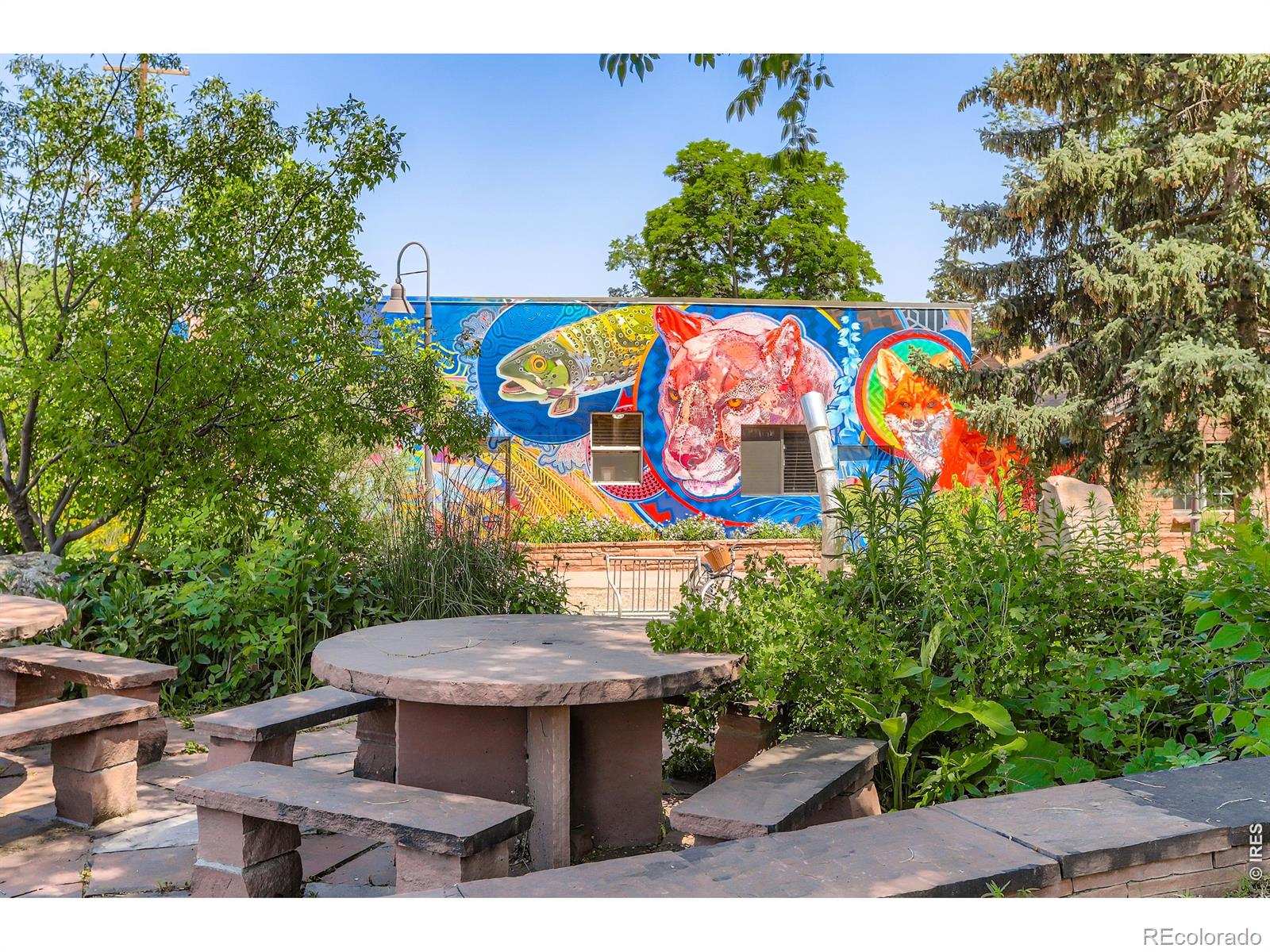 MLS Image #38 for 2901  stone canyon road,lyons, Colorado
