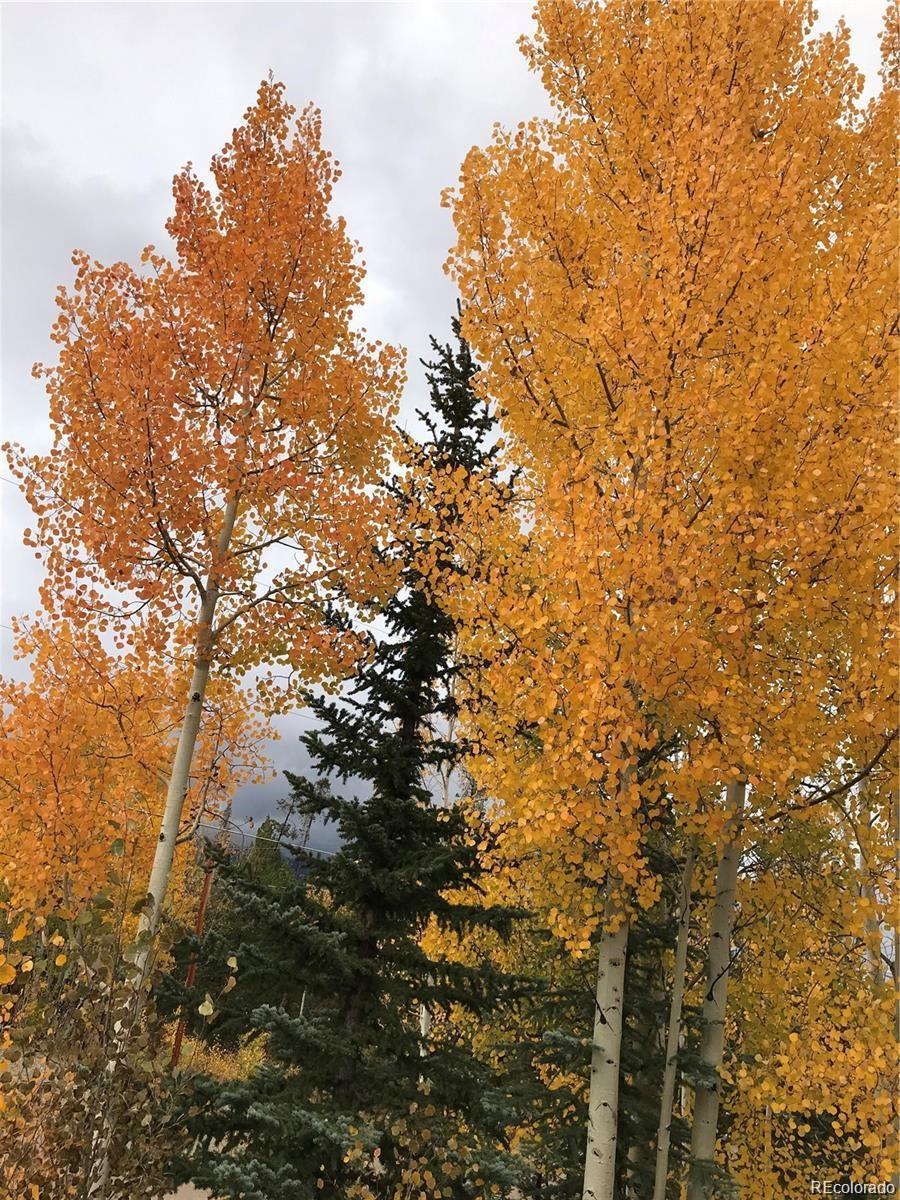 MLS Image #27 for 223  county road 4980 ,grand lake, Colorado