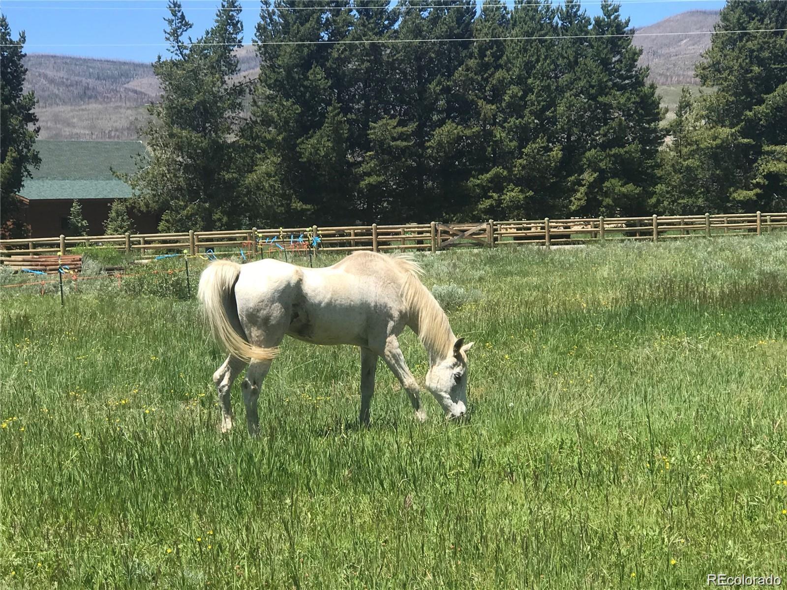 MLS Image #28 for 223  county road 4980 ,grand lake, Colorado