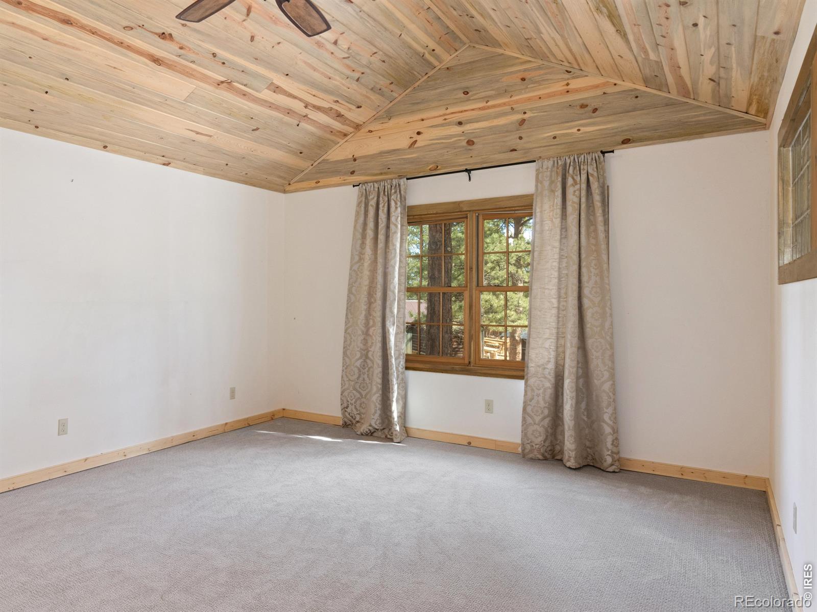 MLS Image #12 for 1101  lexington lane,estes park, Colorado