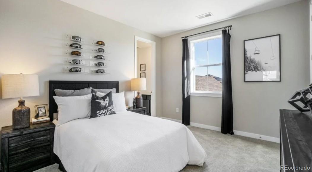 MLS Image #11 for 24704 e kettle court,aurora, Colorado