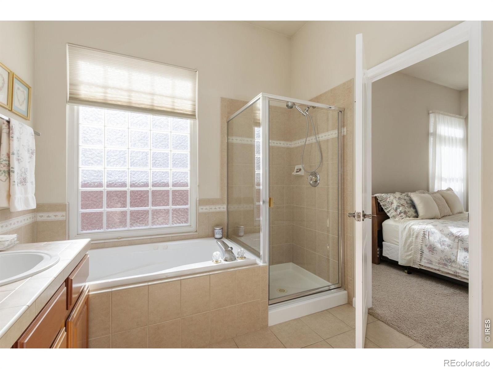 MLS Image #17 for 5194  torrey pines court,fort collins, Colorado