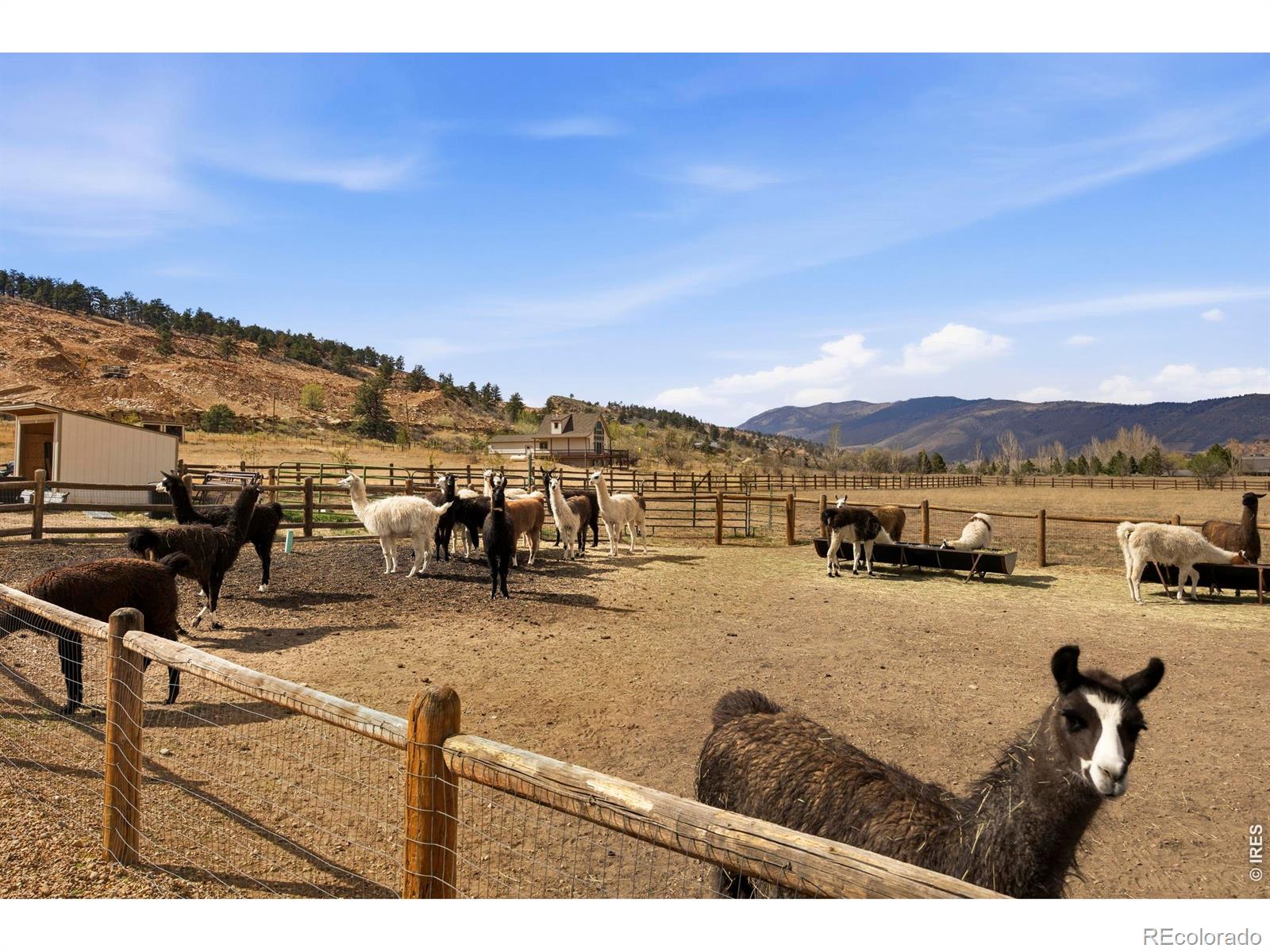 MLS Image #33 for 8000 n county road 27 ,loveland, Colorado