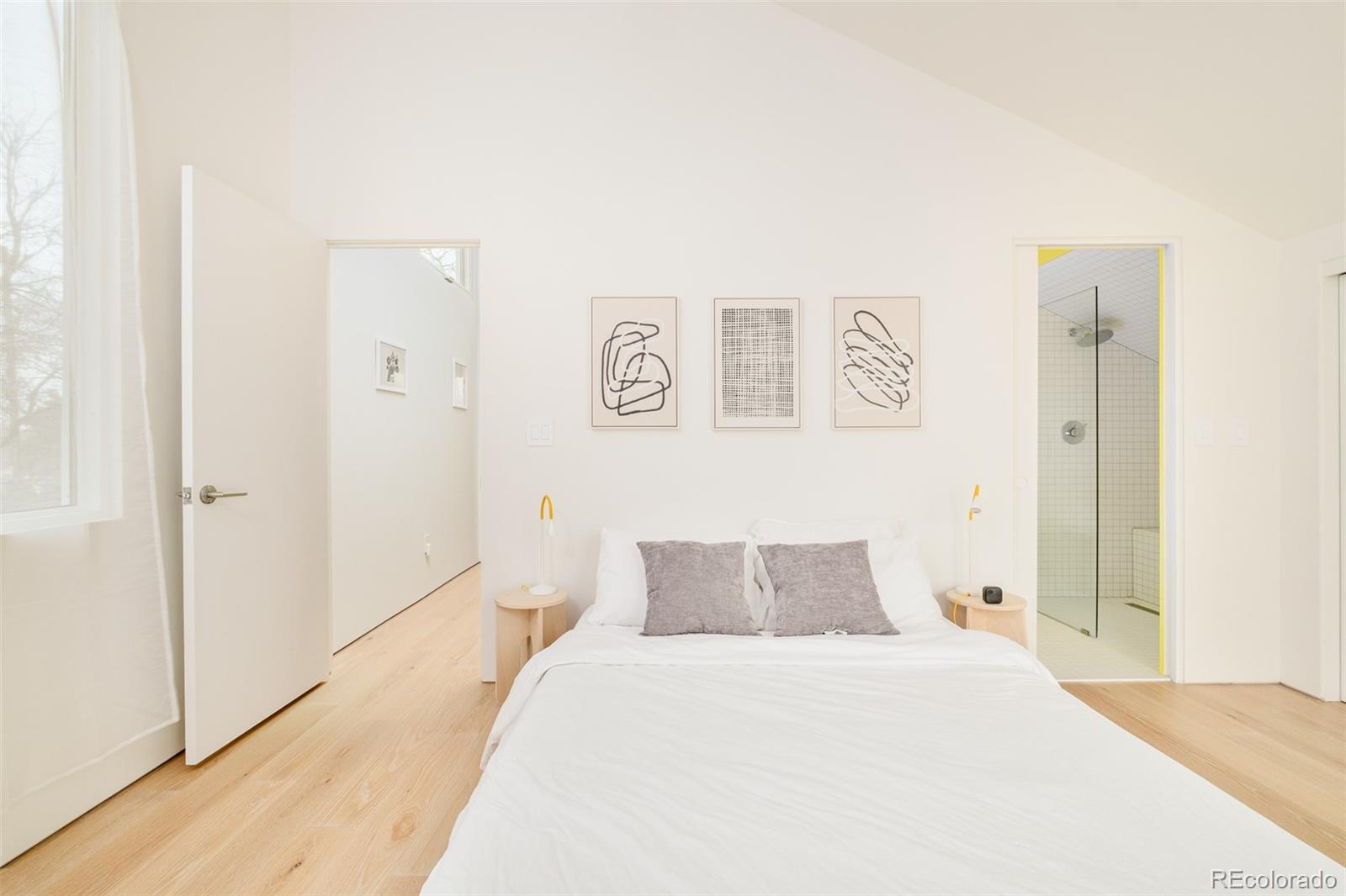 MLS Image #14 for 1675  verbena street,denver, Colorado