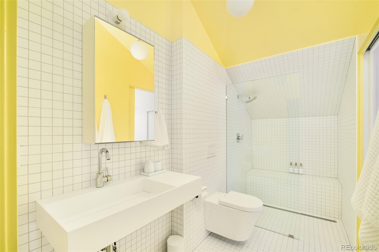 MLS Image #19 for 1675  verbena street,denver, Colorado
