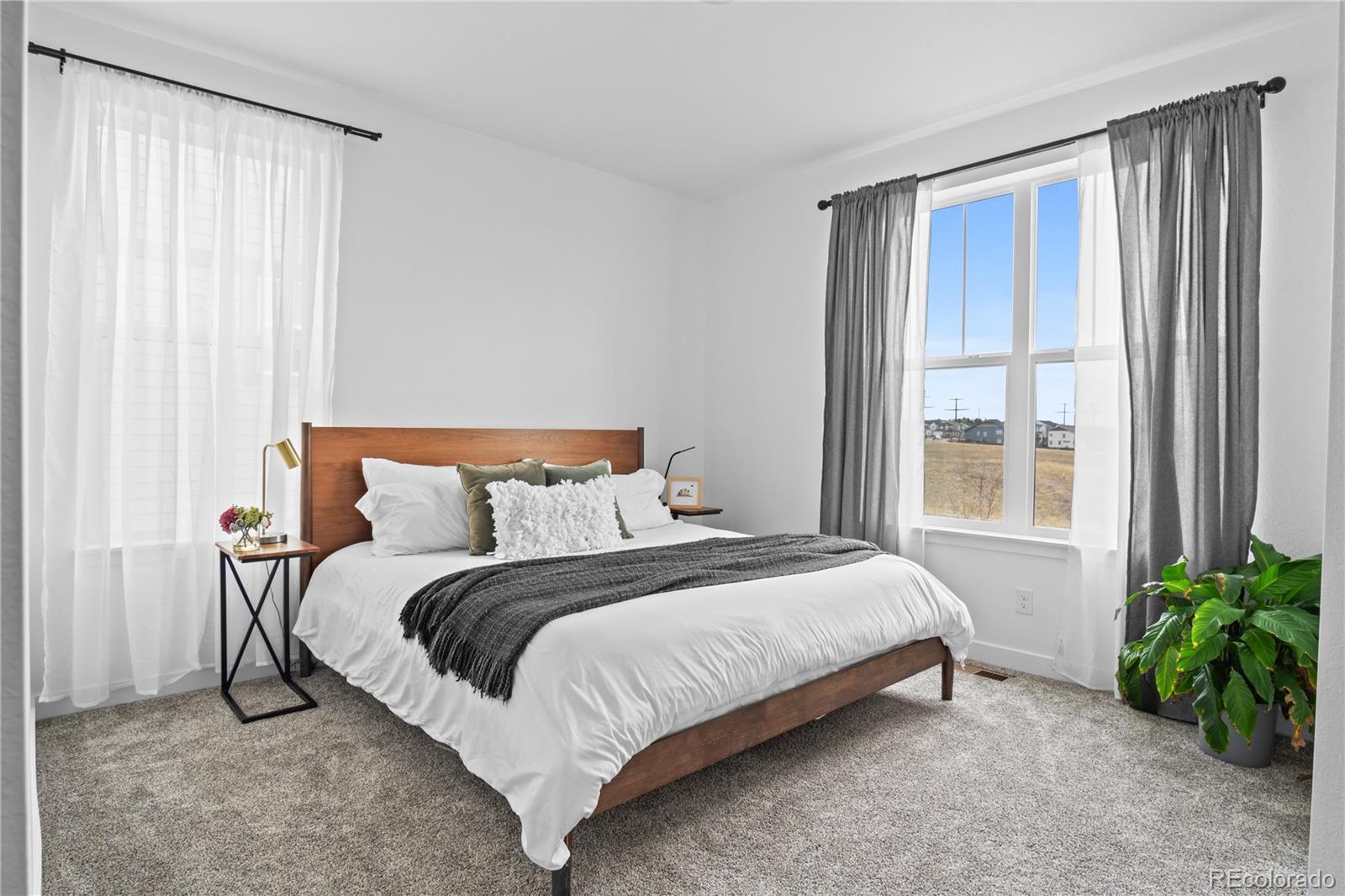 MLS Image #13 for 2917  furthermore lane,castle rock, Colorado