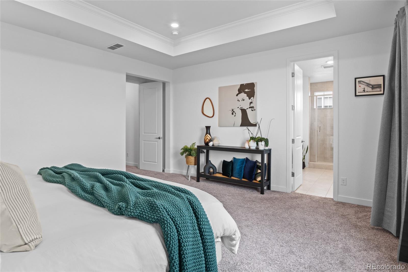 MLS Image #21 for 2917  furthermore lane,castle rock, Colorado