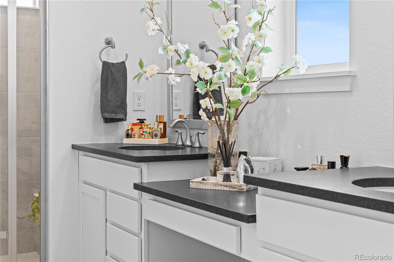 MLS Image #23 for 2917  furthermore lane,castle rock, Colorado