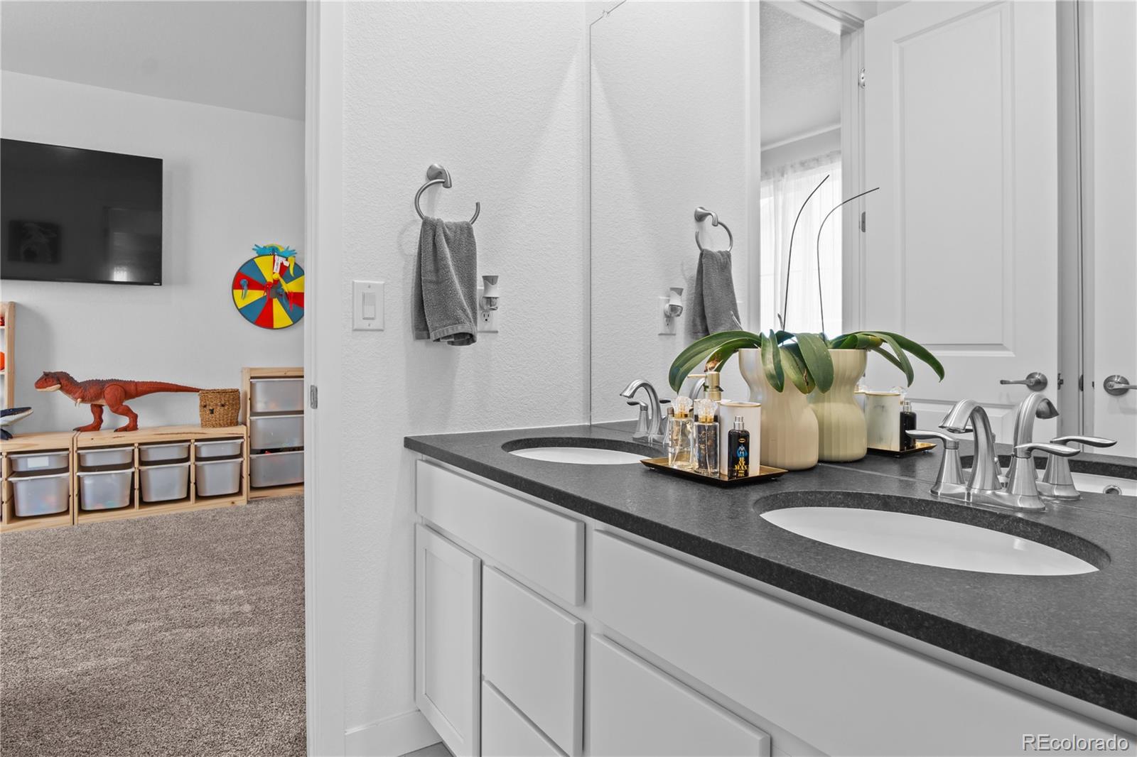 MLS Image #29 for 2917  furthermore lane,castle rock, Colorado