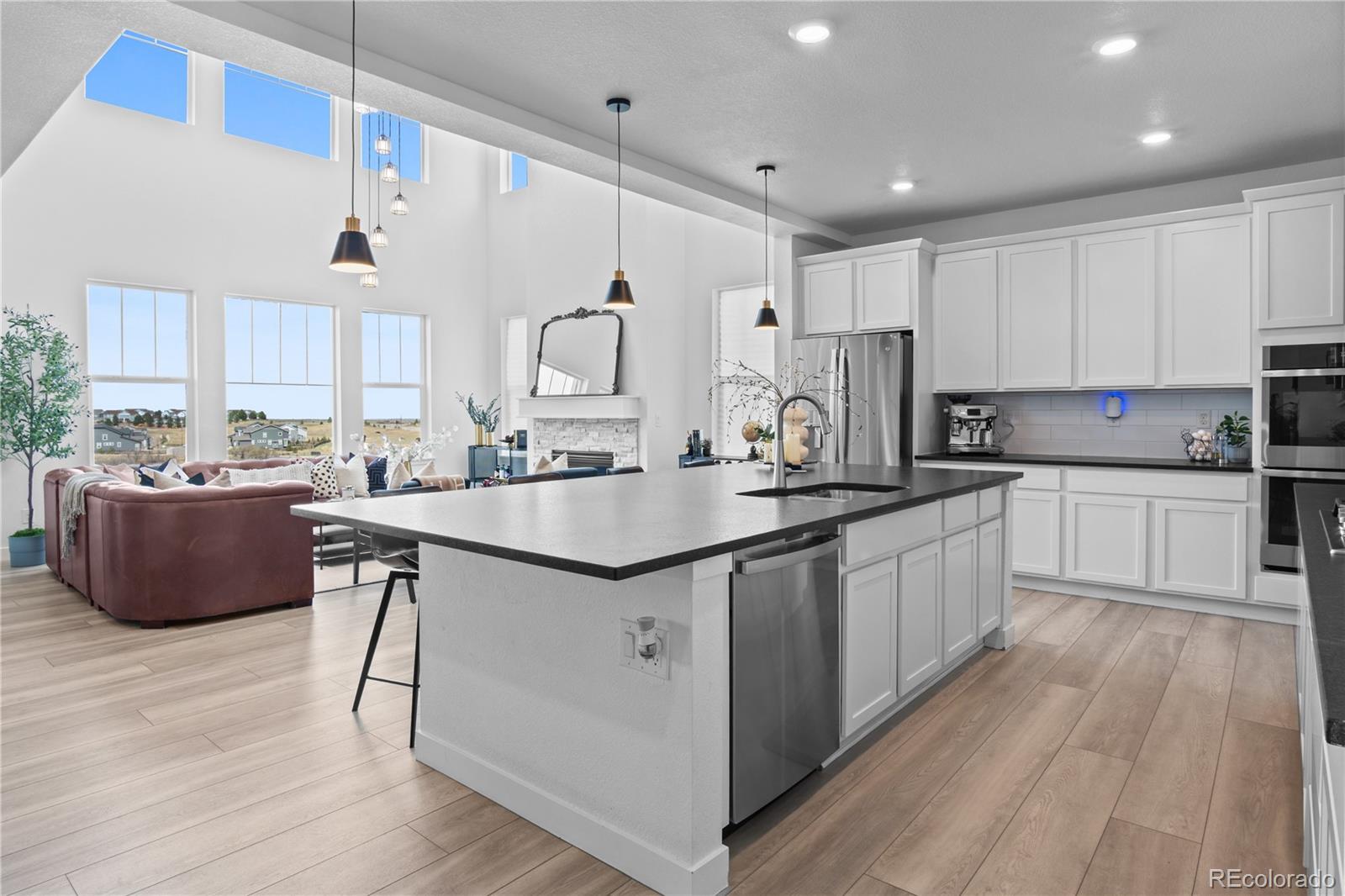 MLS Image #3 for 2917  furthermore lane,castle rock, Colorado