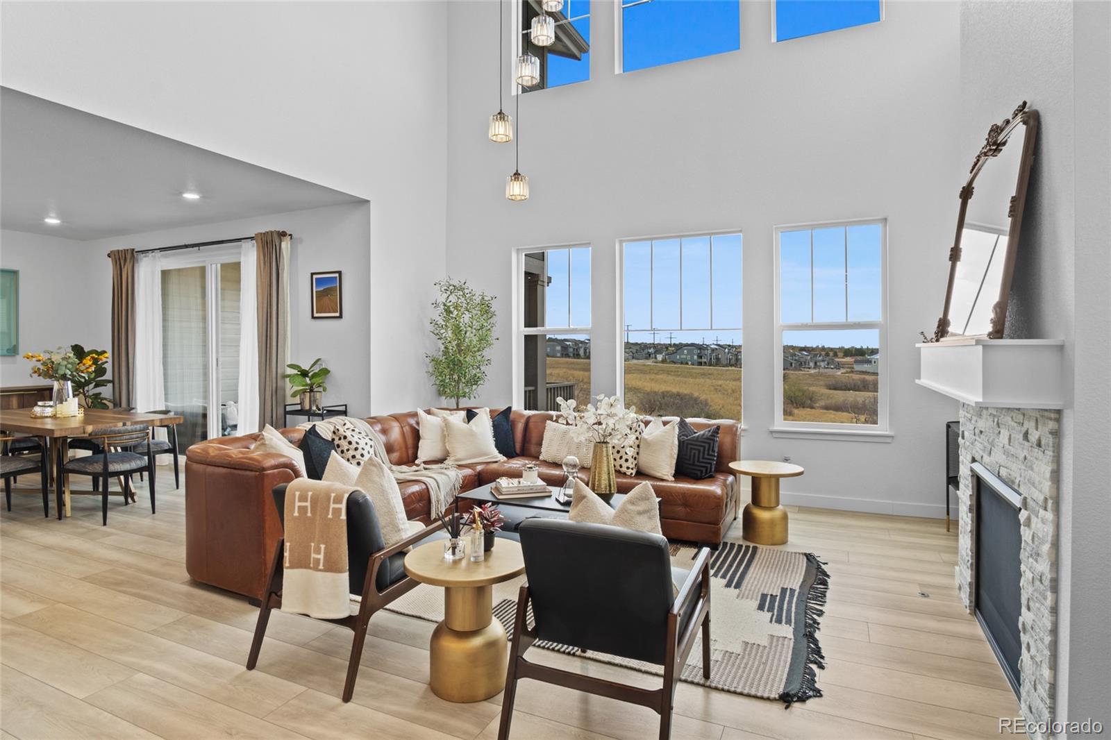 MLS Image #8 for 2917  furthermore lane,castle rock, Colorado