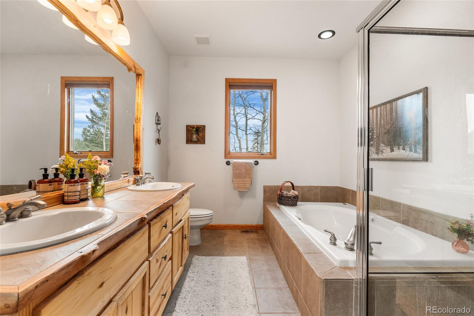 MLS Image #21 for 1996  al gulch road,jefferson, Colorado