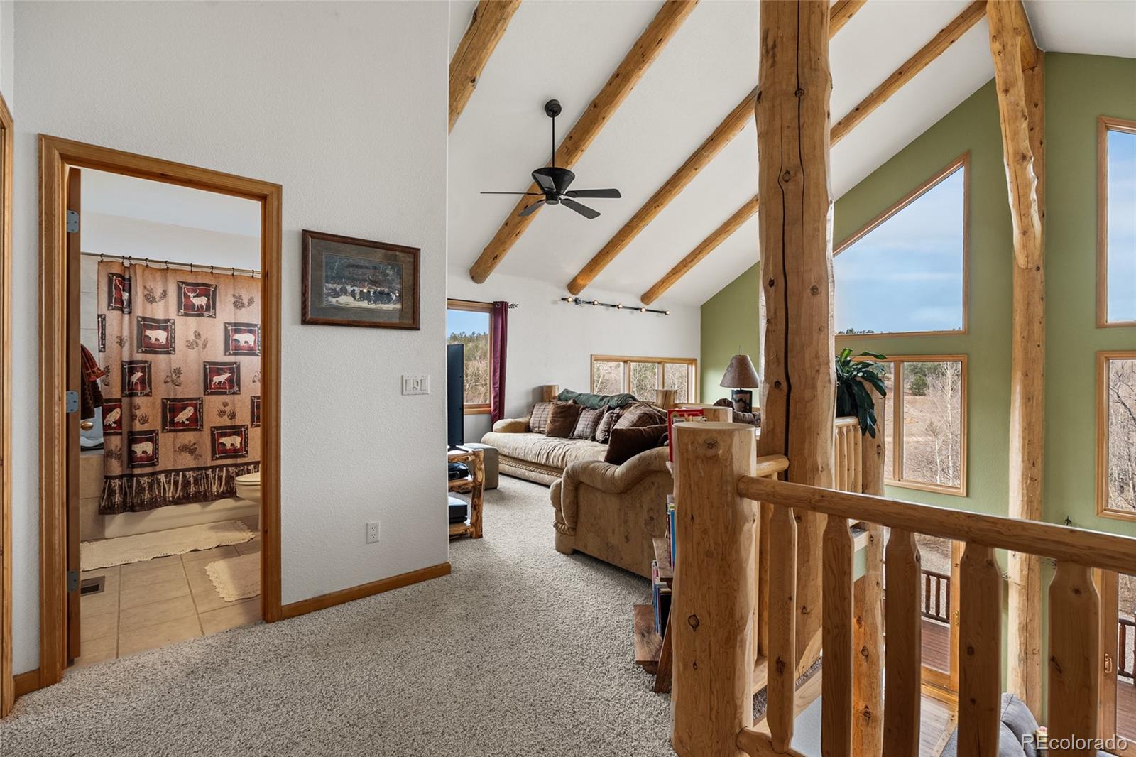 MLS Image #25 for 1996  al gulch road,jefferson, Colorado