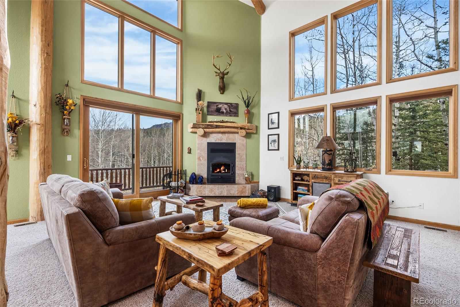 MLS Image #5 for 1996  al gulch road,jefferson, Colorado