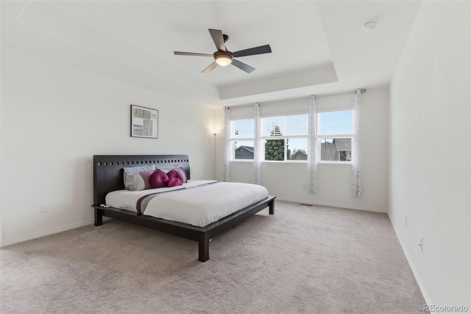 MLS Image #10 for 15981  red bud drive,parker, Colorado