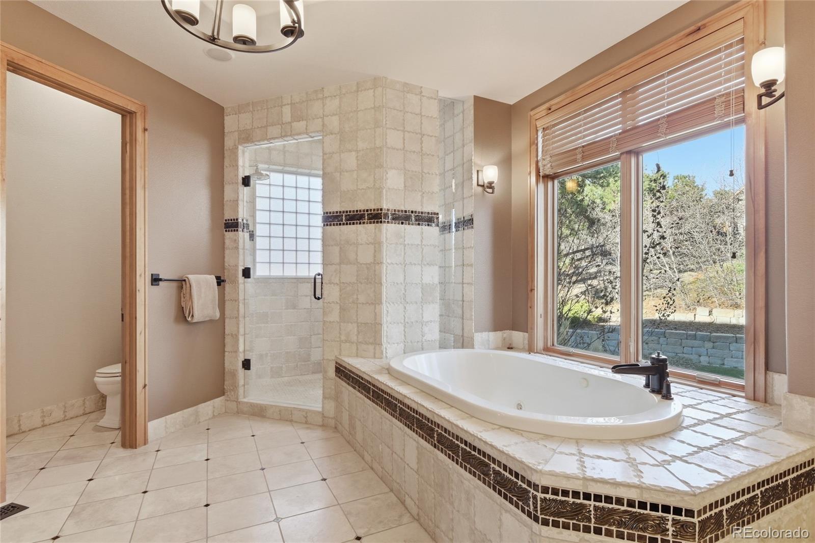 MLS Image #17 for 2587  black pine drive,castle rock, Colorado