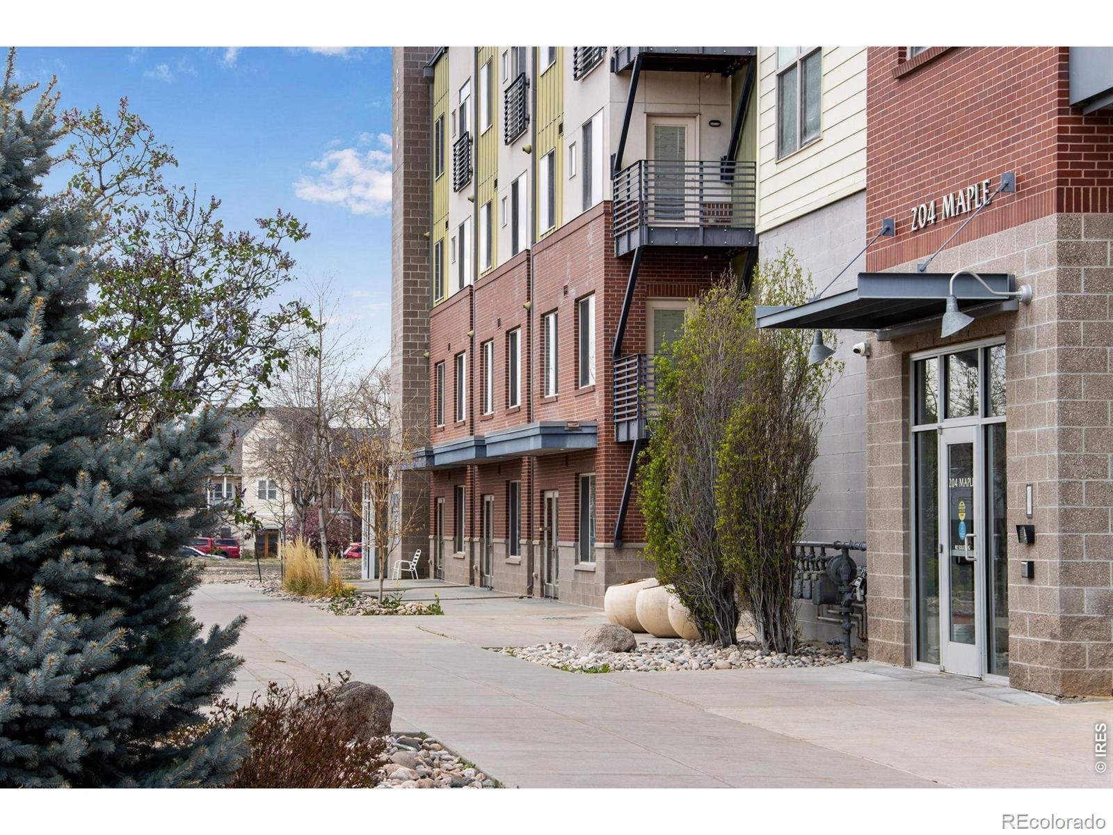 MLS Image #5 for 204  maple street,fort collins, Colorado