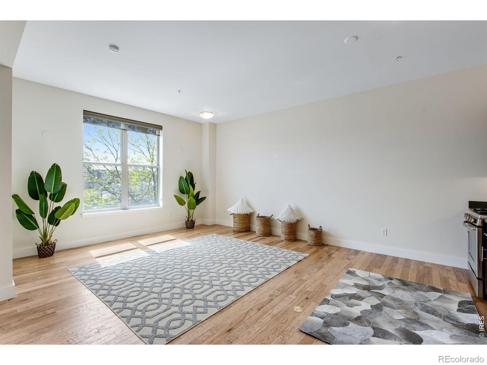 MLS Image #6 for 204  maple street,fort collins, Colorado