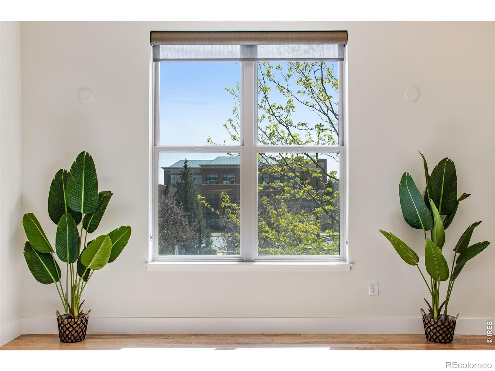 MLS Image #8 for 204  maple street,fort collins, Colorado