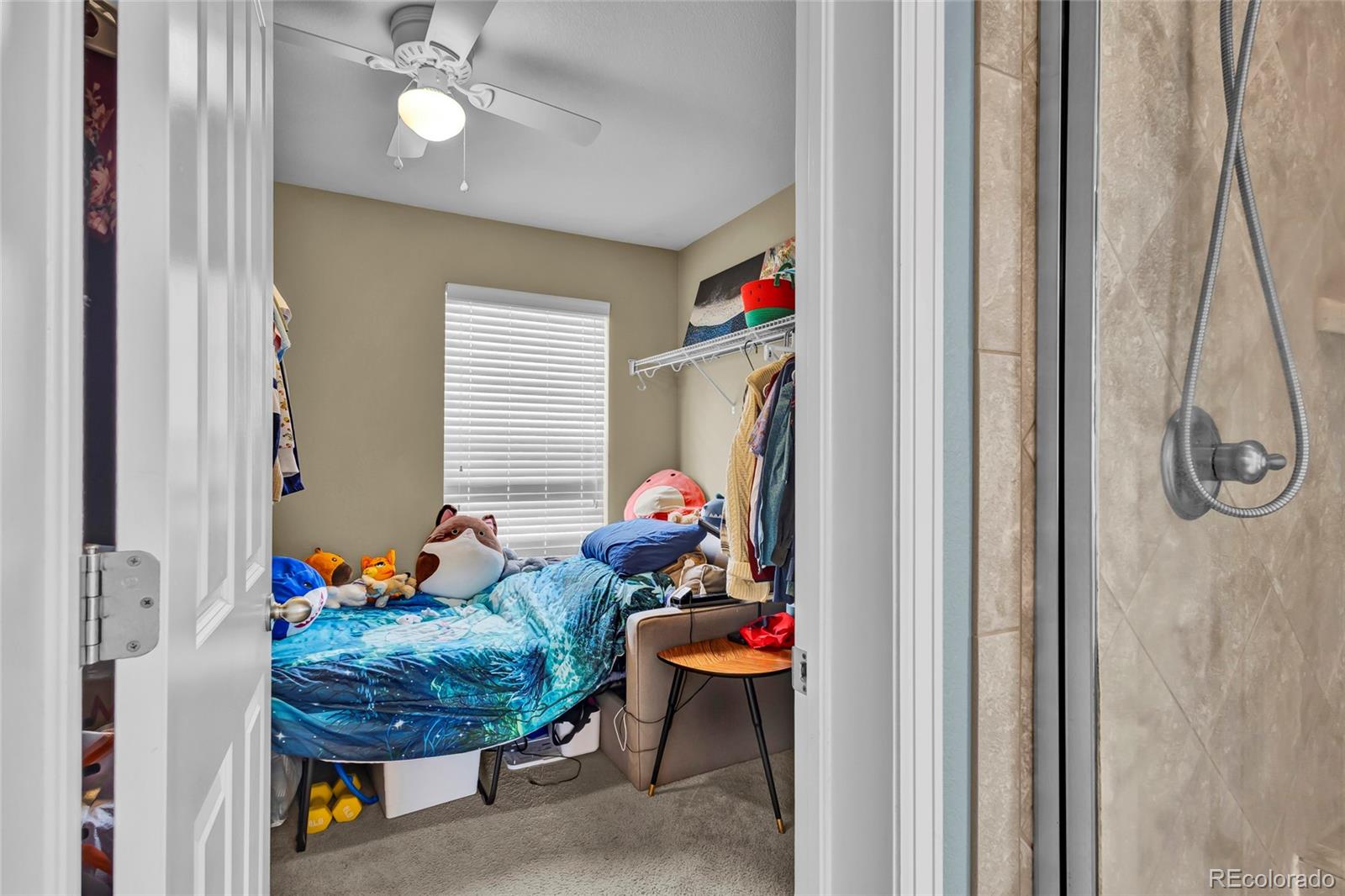 MLS Image #23 for 7679  blue water drive,castle rock, Colorado