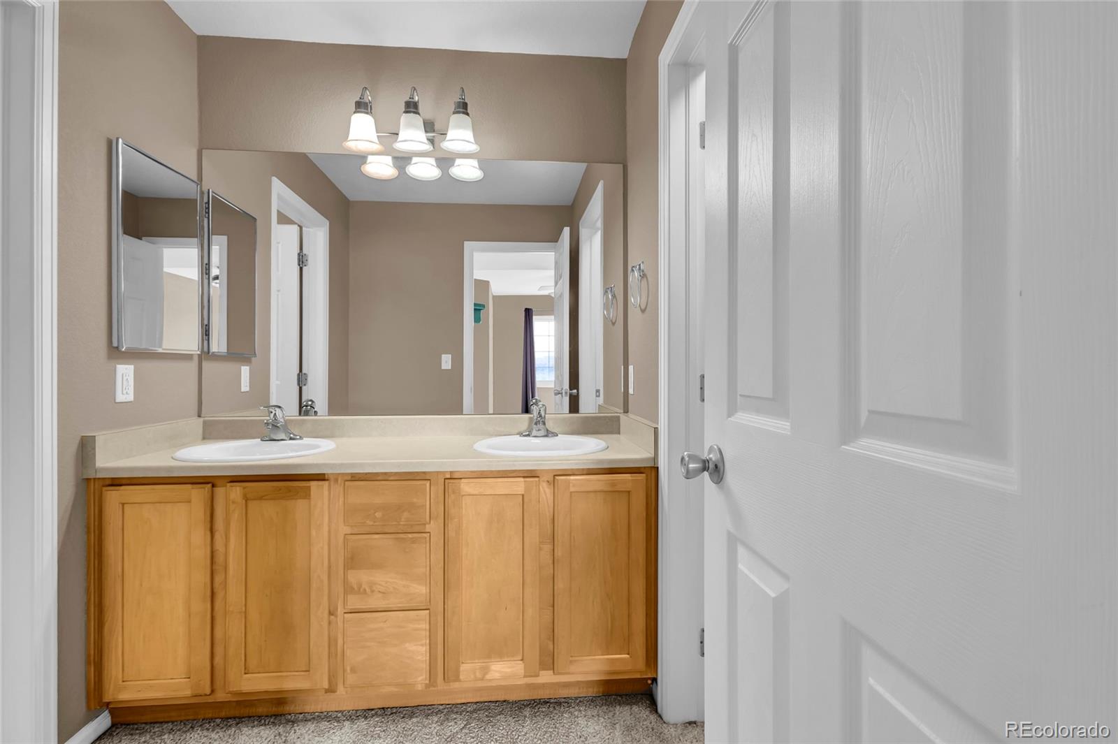 MLS Image #19 for 488  black feather loop,castle rock, Colorado