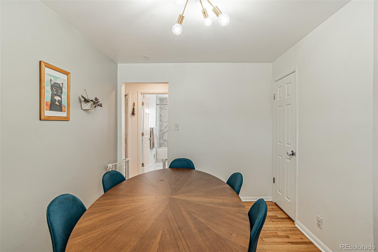 MLS Image #20 for 1515 s birch street,denver, Colorado