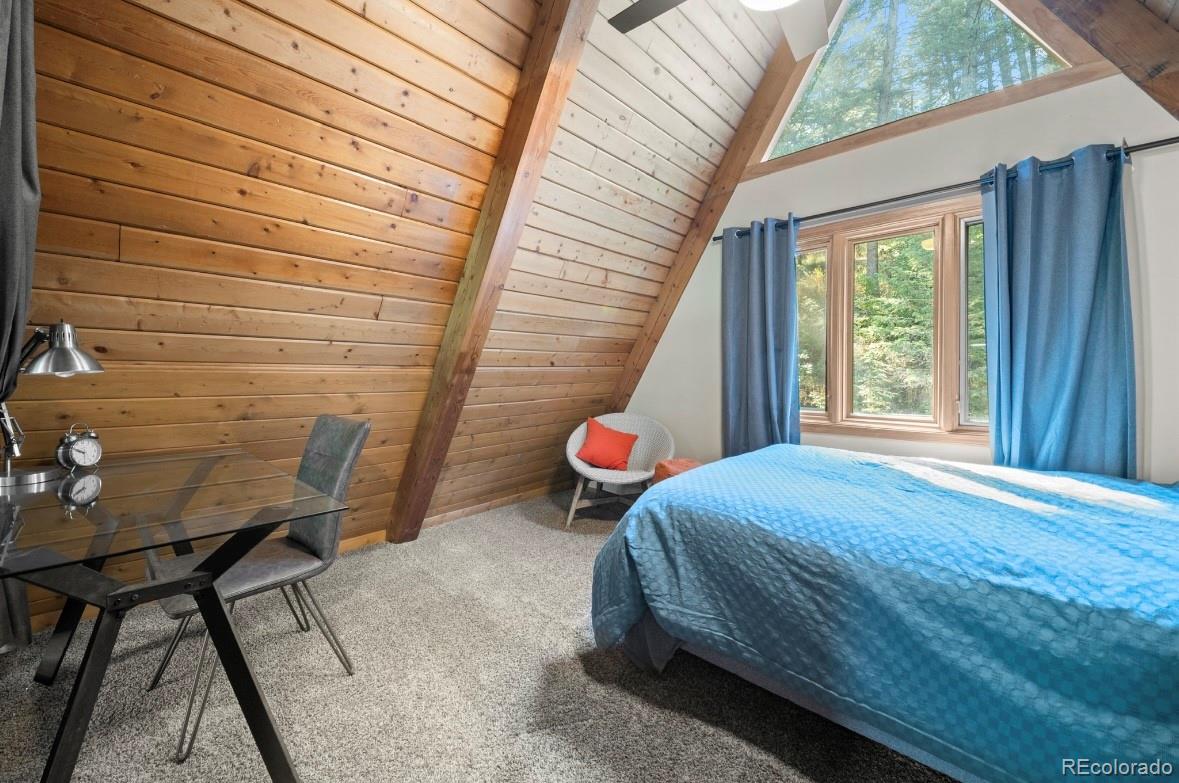 MLS Image #21 for 21336  san juan road,indian hills, Colorado