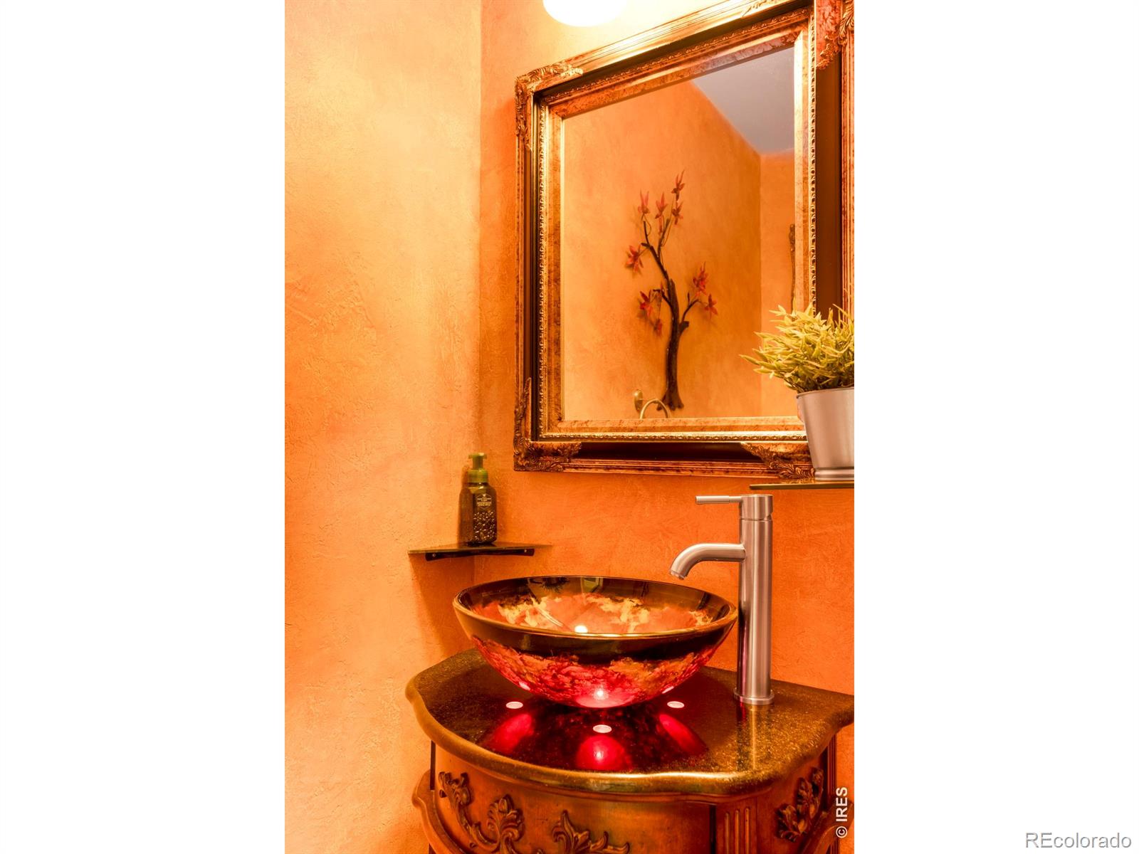 MLS Image #14 for 12023  coal creek heights drive,golden, Colorado