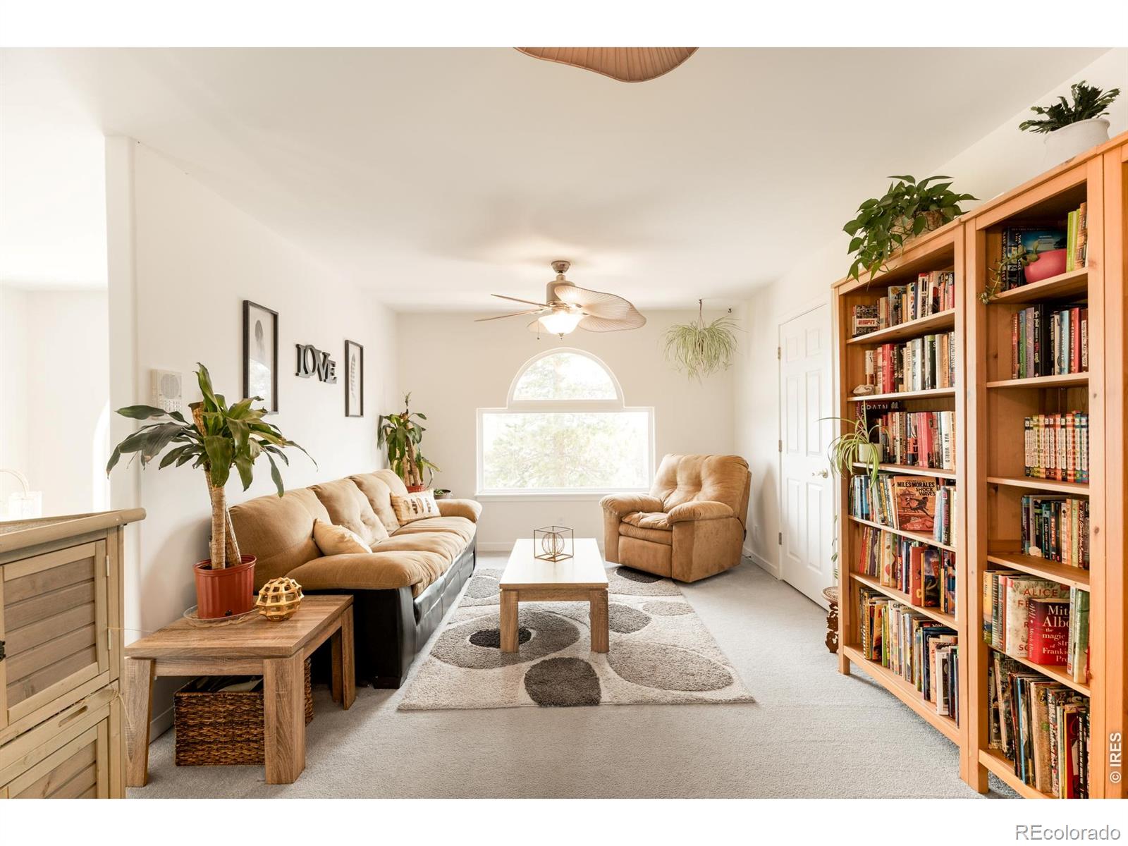 MLS Image #15 for 12023  coal creek heights drive,golden, Colorado