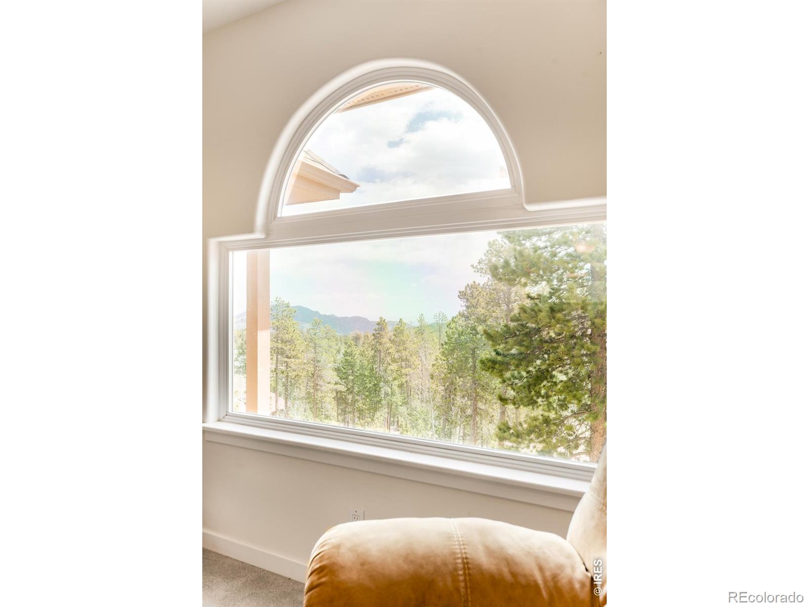 MLS Image #16 for 12023  coal creek heights drive,golden, Colorado
