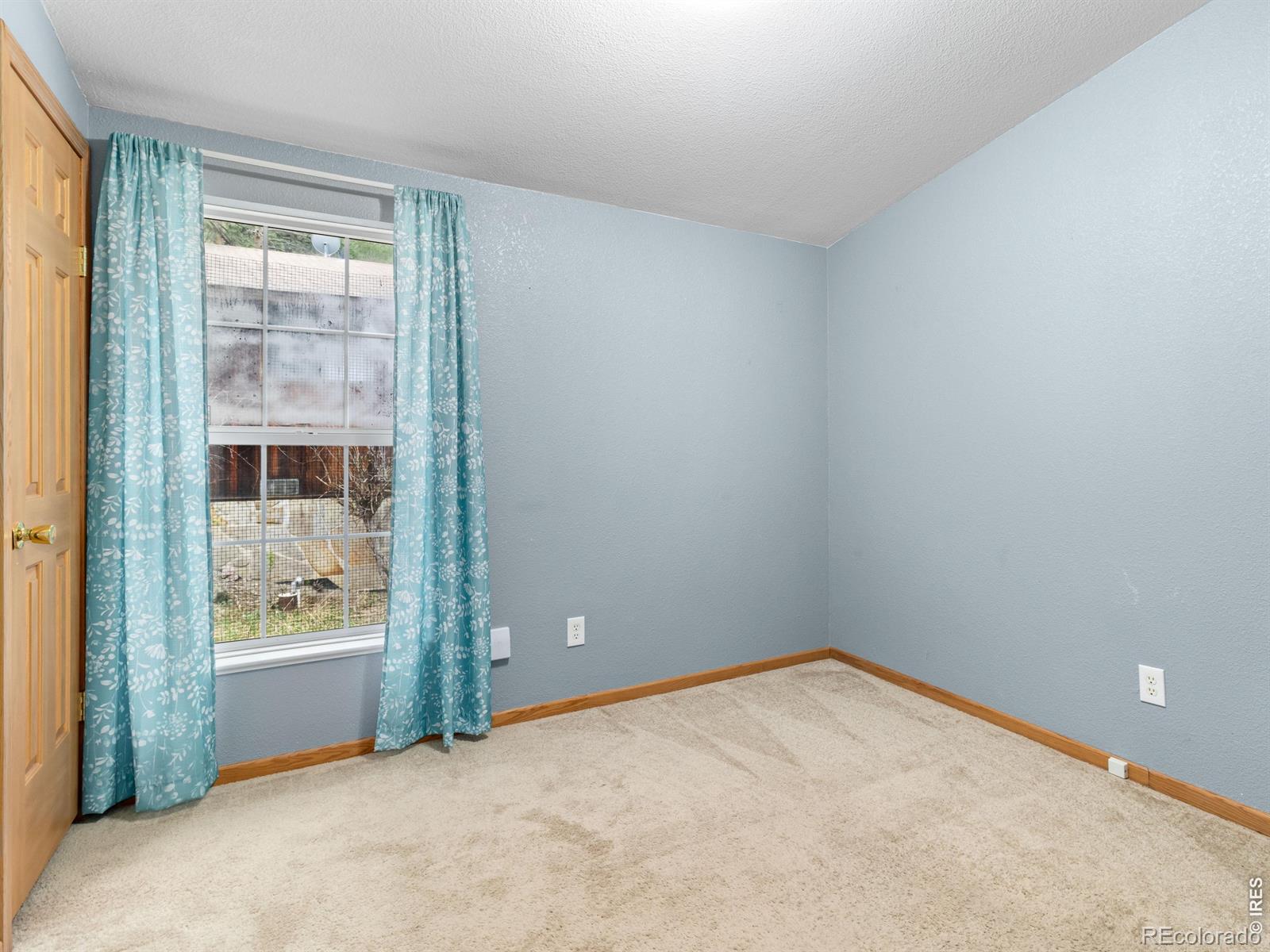 MLS Image #27 for 270  river fork road,drake, Colorado