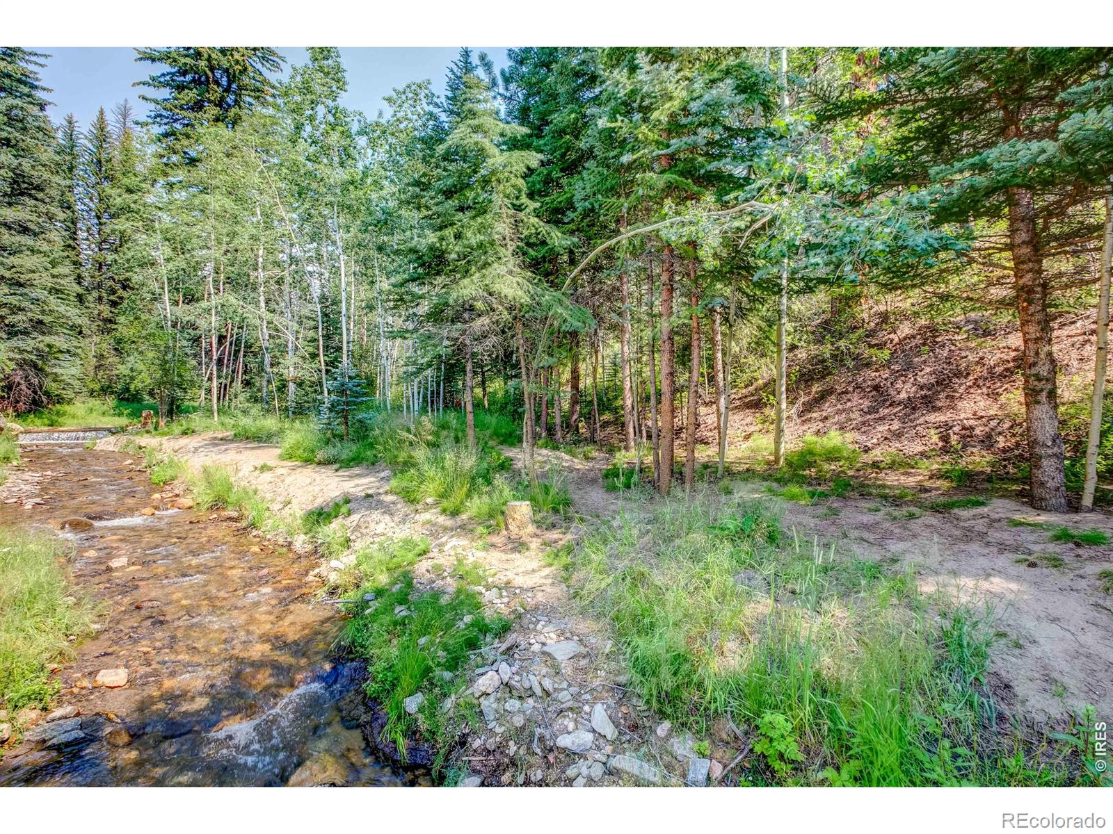 MLS Image #3 for 1142  streamside drive,glen haven, Colorado