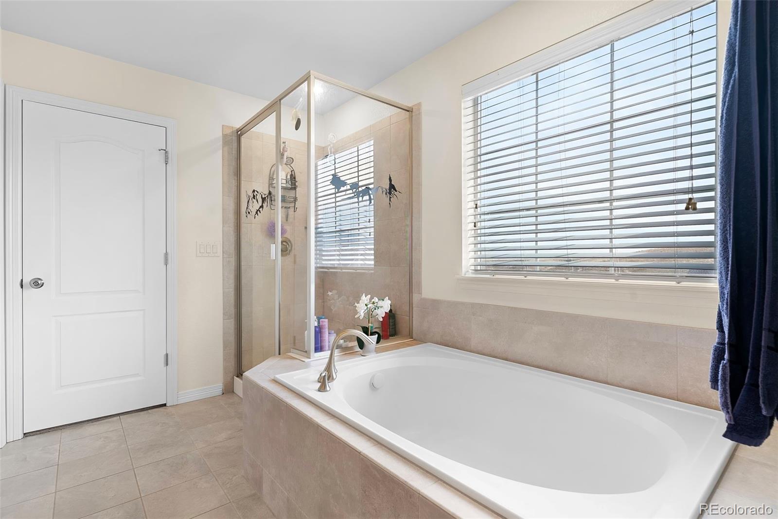 MLS Image #22 for 19096 w 84th place,arvada, Colorado