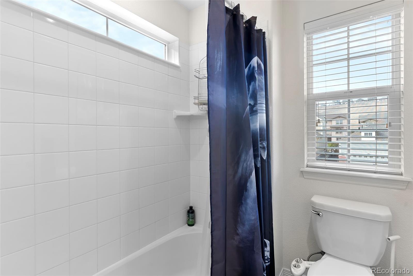 MLS Image #28 for 19096 w 84th place,arvada, Colorado