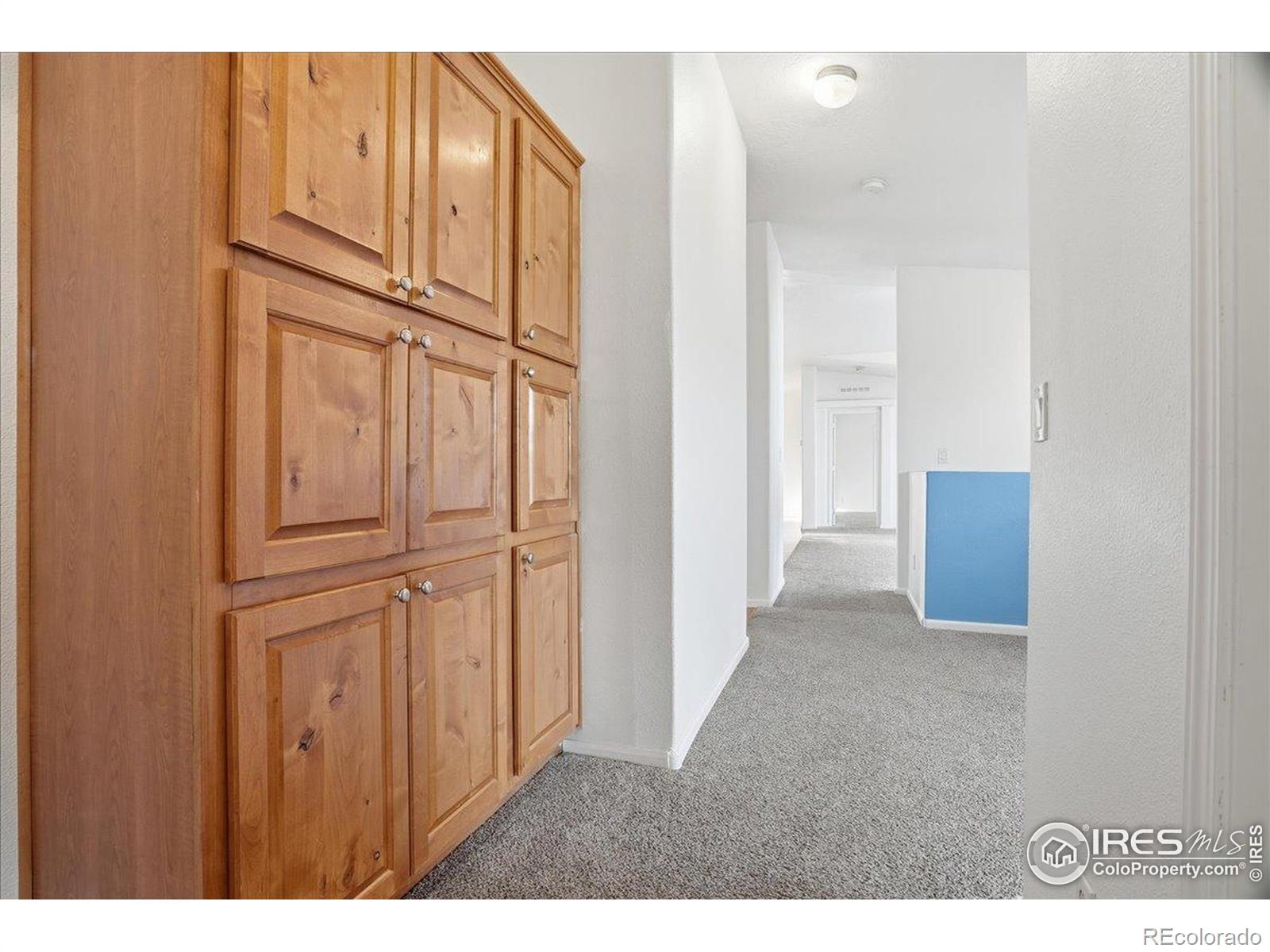 MLS Image #9 for 109  lakritz street,berthoud, Colorado