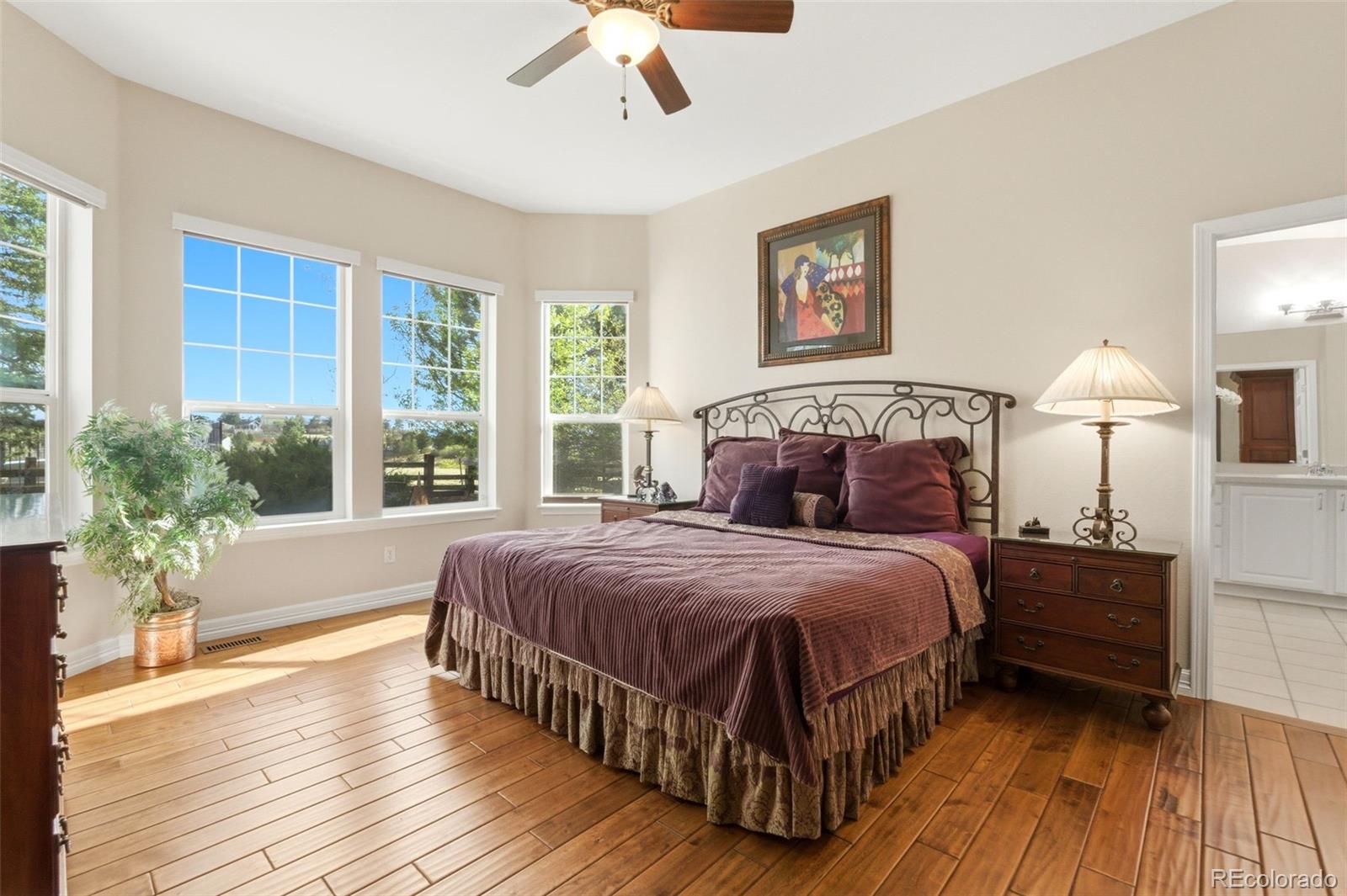 MLS Image #23 for 2982  cliff view court,castle rock, Colorado