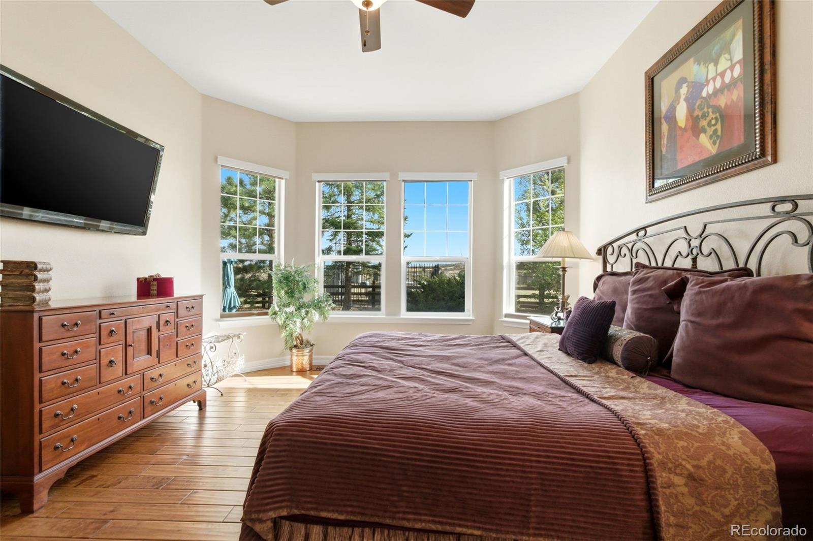 MLS Image #24 for 2982  cliff view court,castle rock, Colorado