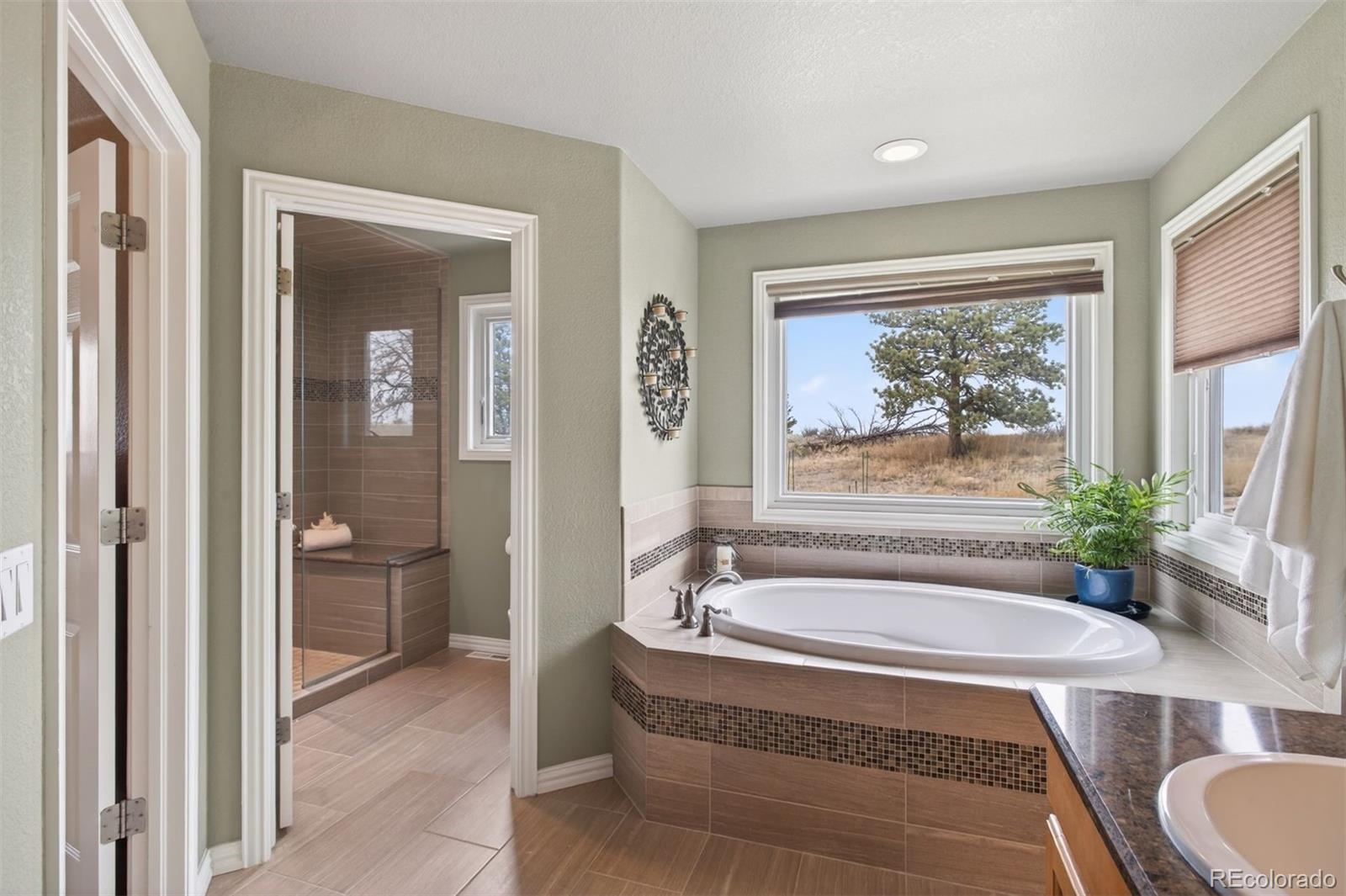 MLS Image #14 for 6987  ashley court,parker, Colorado