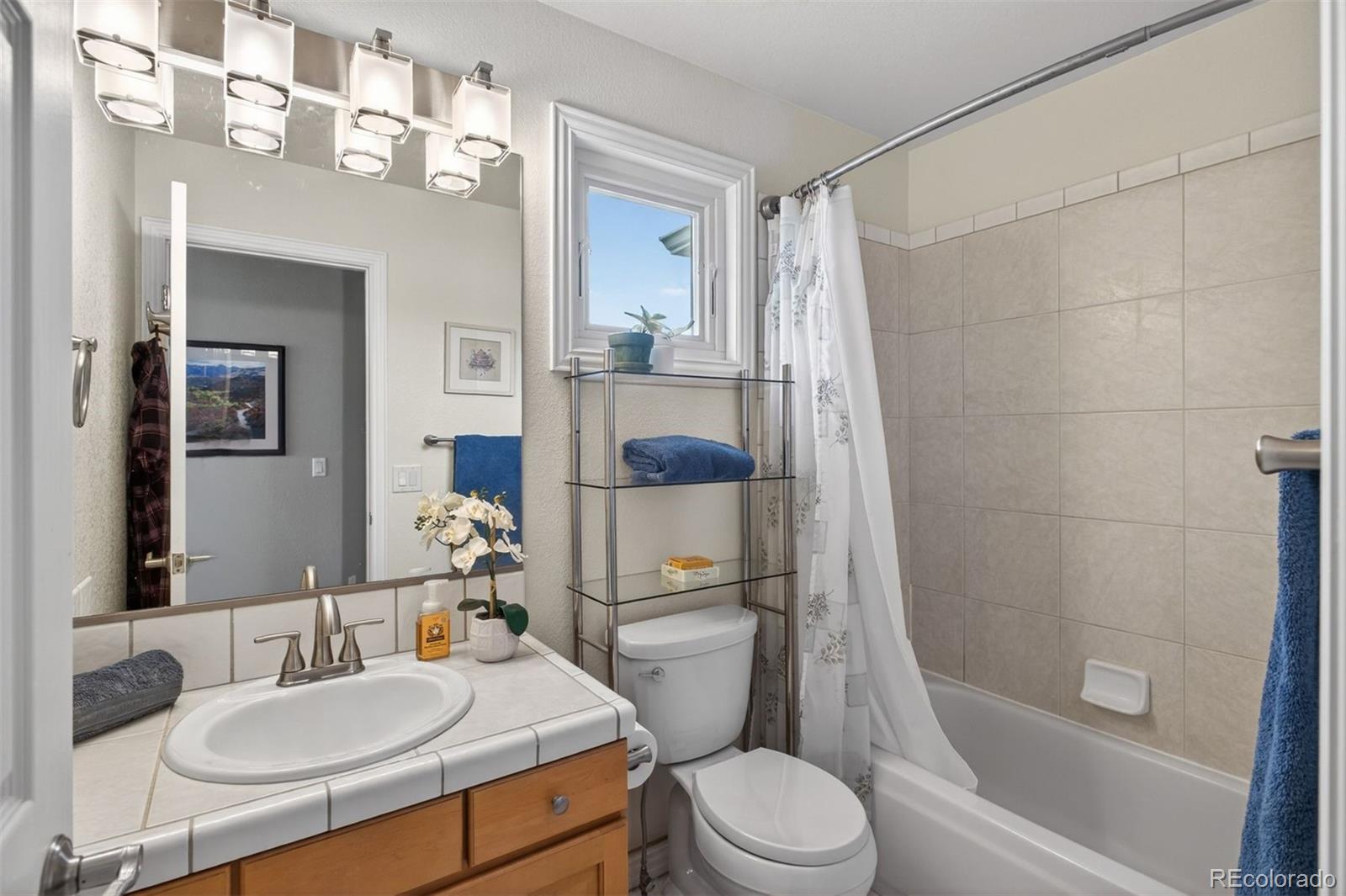 MLS Image #18 for 6987  ashley court,parker, Colorado