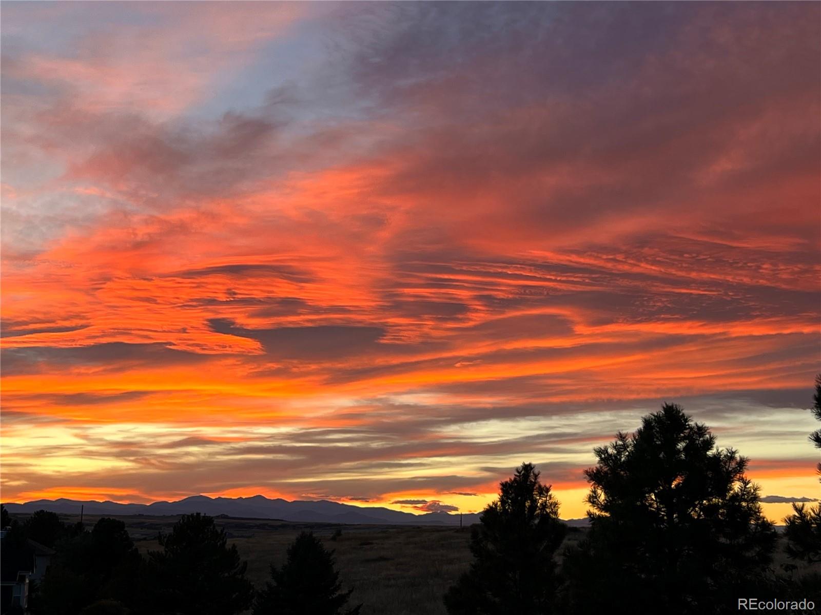 MLS Image #3 for 6987  ashley court,parker, Colorado