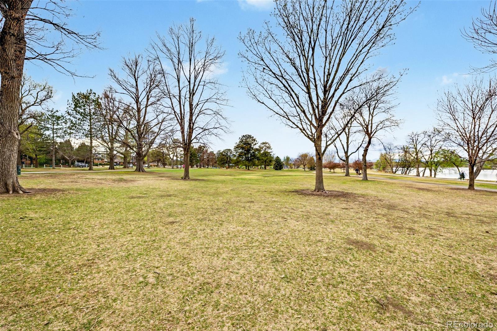 MLS Image #36 for 1085 n wolff street,denver, Colorado